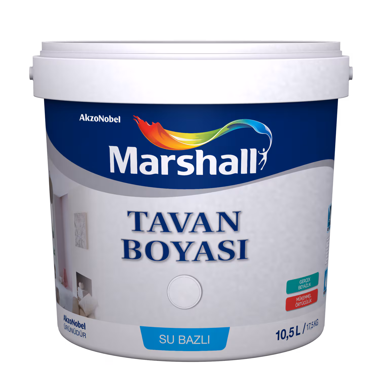 Marshall tavan boyası