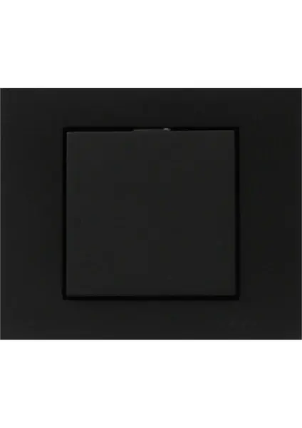 Ovivo Grano Metalik Siyah Anahtar Çerçeveli